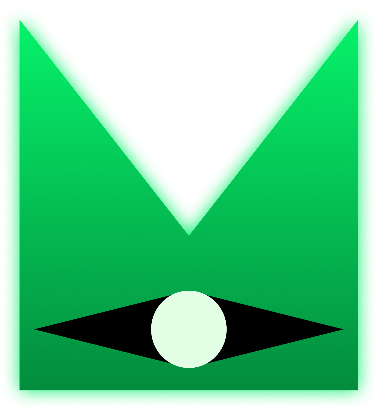 Vizor